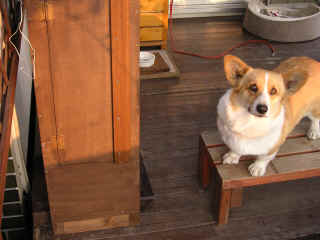 smoker_4.jpg (70617 �o�C�g)