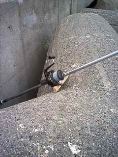 Resize of Resize of DCSA0011.jpg (25276 �o�C�g)