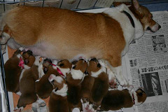 REsize of IMG_0052_thumb.jpg