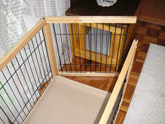 Resize of PICT0498_thumb.jpg