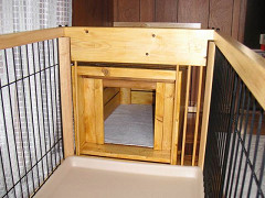 Resize of PICT0502_thumb.jpg