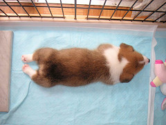 Resize of PICT0534_thumb.jpg