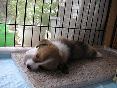 Resize of PICT0536_thumb.jpg