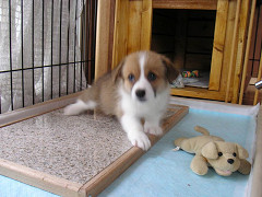 Resize of PICT0544_thumb.jpg