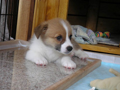 Resize of PICT0552_thumb.jpg