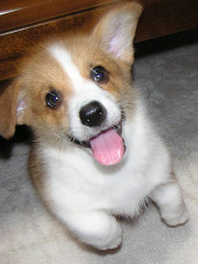 Resize of PICT0614r_thumb.jpg