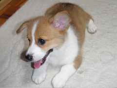 Resize of PICT0622_thumb.jpg