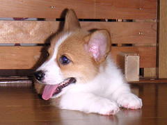 Resize of PICT0652_thumb.jpg