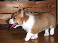 Resize of PICT0654_thumb.jpg