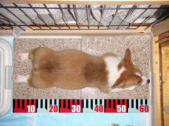 Resize of PICT0663s_thumb.jpg