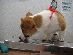 Resize of PICT0792_thumb.jpg