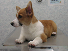 Resize of PICT0793_thumb.jpg