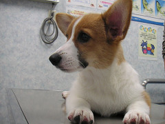 Resize of PICT0795_thumb.jpg