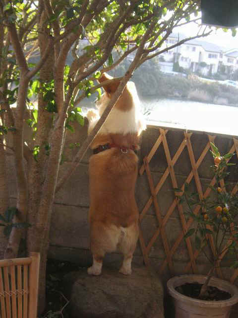 s20070218_2.JPG (60472 �o�C�g)