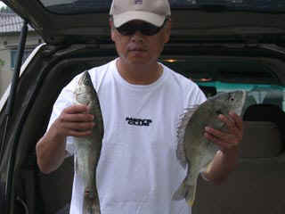 20031012_b.jpg (19121 �o�C�g)