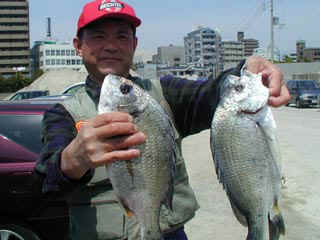 20040425_a.jpg (25740 �o�C�g)