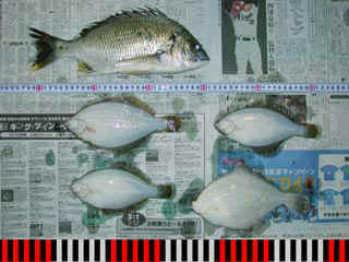 20040509_a.jpg (29120 �o�C�g)