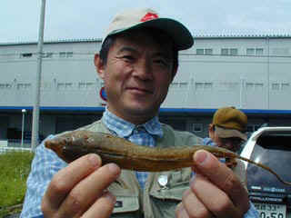 20040529_a.jpg (24136 �o�C�g)