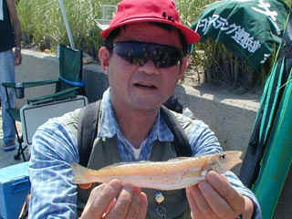 20040705_a.jpg (32643 �o�C�g)