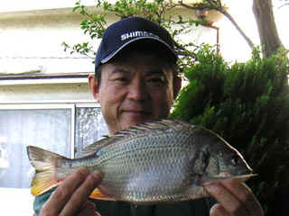 20040811_b.jpg (26989 �o�C�g)