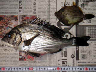 20041114_a.jpg (31979 �o�C�g)