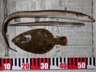 20041123_a.jpg (29250 �o�C�g)