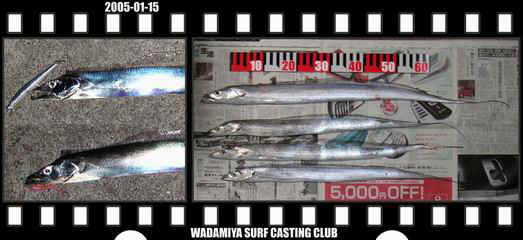 Resize of Resize of f20050115.jpg (32084 �o�C�g)