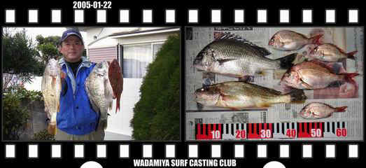 Resize of Resize of f20050122.jpg (32789 �o�C�g)