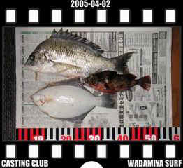 Resize of Resize of f20050402.jpg (17023 �o�C�g)