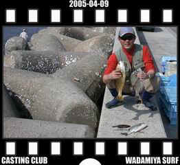 Resize of Resize of f20050409.jpg (16692 �o�C�g)