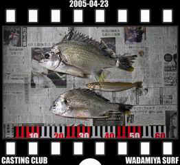 Resize of Resize of f20050423.jpg (17114 �o�C�g)