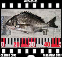 Resize of Resize of f20050505.jpg (18099 �o�C�g)