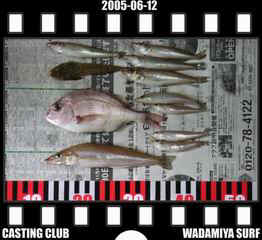 Resize of Resize of f20050612.jpg (17058 �o�C�g)