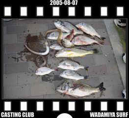 Resize of Resize of f20050807.jpg (14846 �o�C�g)