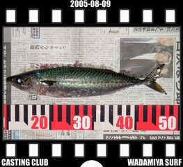 Resize of Resize of f20050809.jpg (17896 �o�C�g)