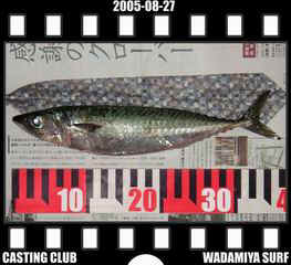 Resize of Resize of f20050827a.jpg (17130 �o�C�g)