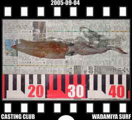 Resize of Resize of f20050904.jpg (17081 �o�C�g)