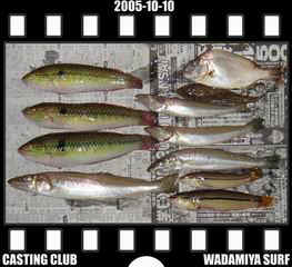 Resize of Resize of f20051010.jpg (17983 �o�C�g)