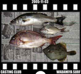 Resize of Resize of f20051103.jpg (17198 �o�C�g)