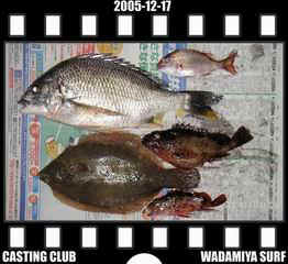 Resize of Resize of f20051217.jpg (18063 �o�C�g)