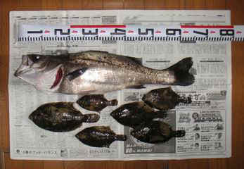 S20060416_2.JPG - 13,522BYTES