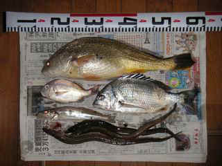 S20060702_1.JPG - 20,649BYTES