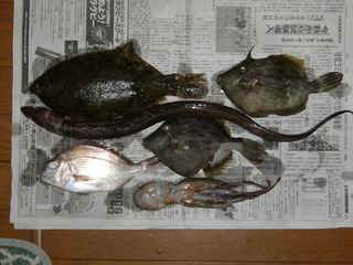 s20061028_2.JPG (26437 �o�C�g)